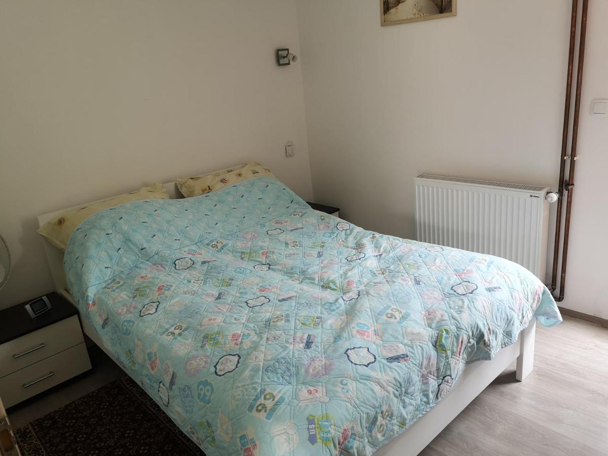 Apartmani Zubor Banja Koviljača エクステリア 写真