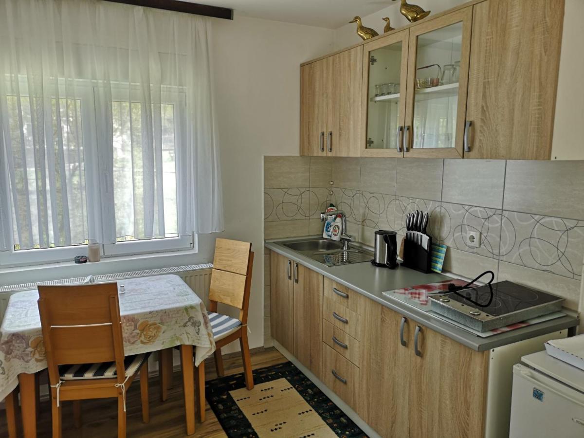 Apartmani Zubor Banja Koviljača エクステリア 写真