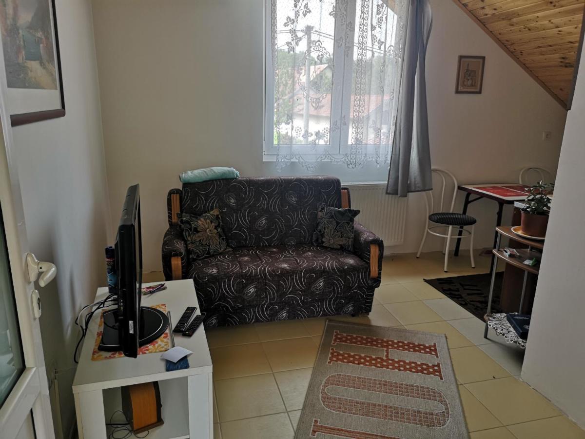 Apartmani Zubor Banja Koviljača エクステリア 写真